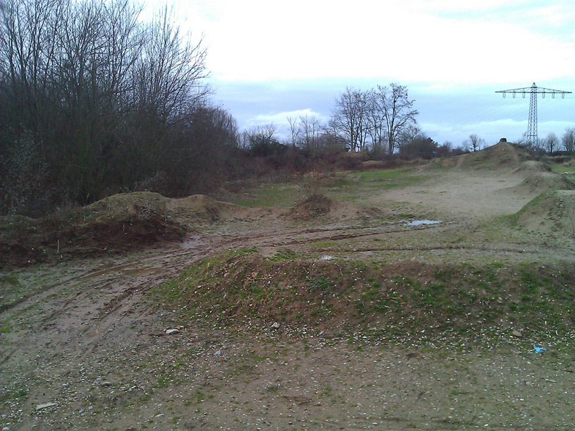Wetterlage_Eppelheim_15012011_02.jpg