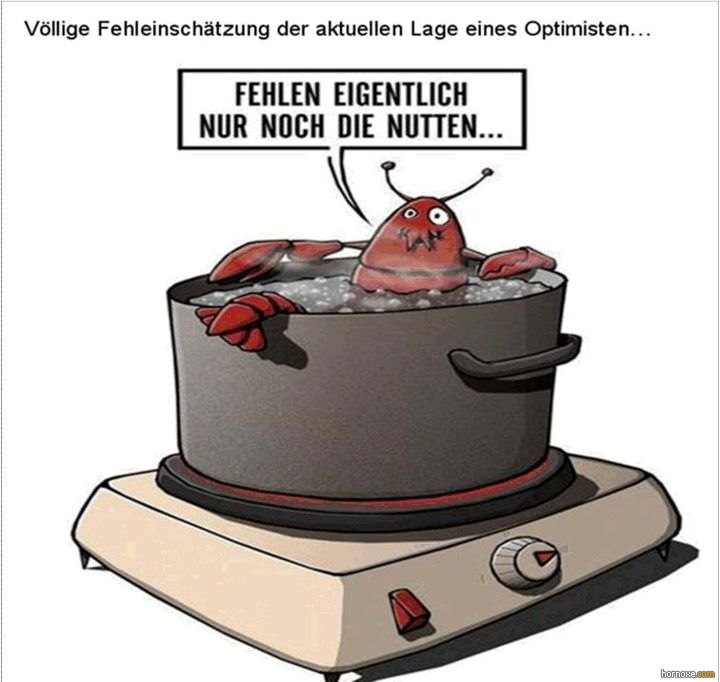 nutten.jpg